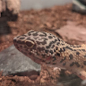 Meet your Posher, Kiera